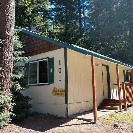 Hall Creek Cabin Паквуд Экстерьер фото