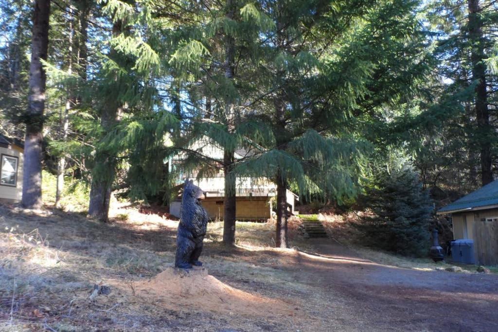 Hall Creek Cabin Паквуд Экстерьер фото